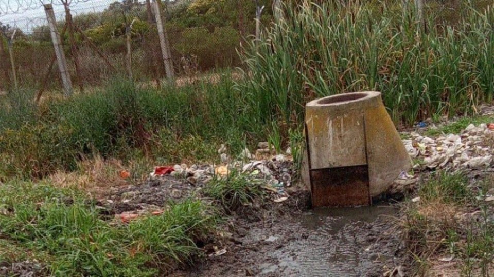 IMM multó al Comcar por verter aguas servidas a Humedales del Santa Lucía — Informes  — La Pecera | Azul 101.9