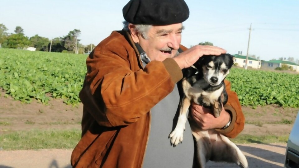 Saltombide despidió a “su amigo” Pepe Mujica — Humor  — La Pecera | Azul 101.9