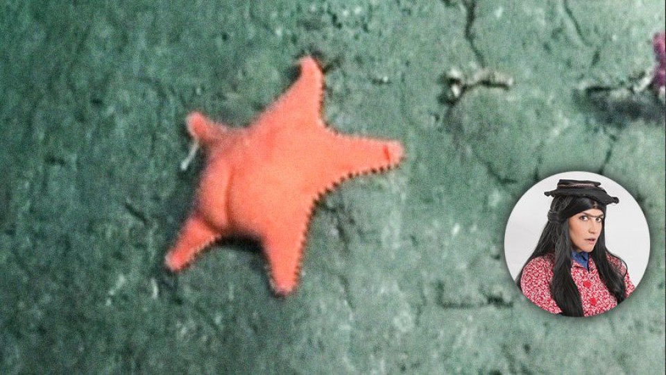 Mabel y la estrella culona de Mar del Plata — Humor  — La Pecera | Azul 101.9