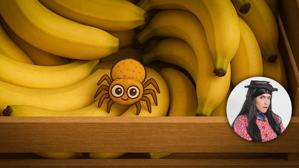 “Uruguay sorprende” con la araña del banano — Humor  — La Pecera | Azul 101.9