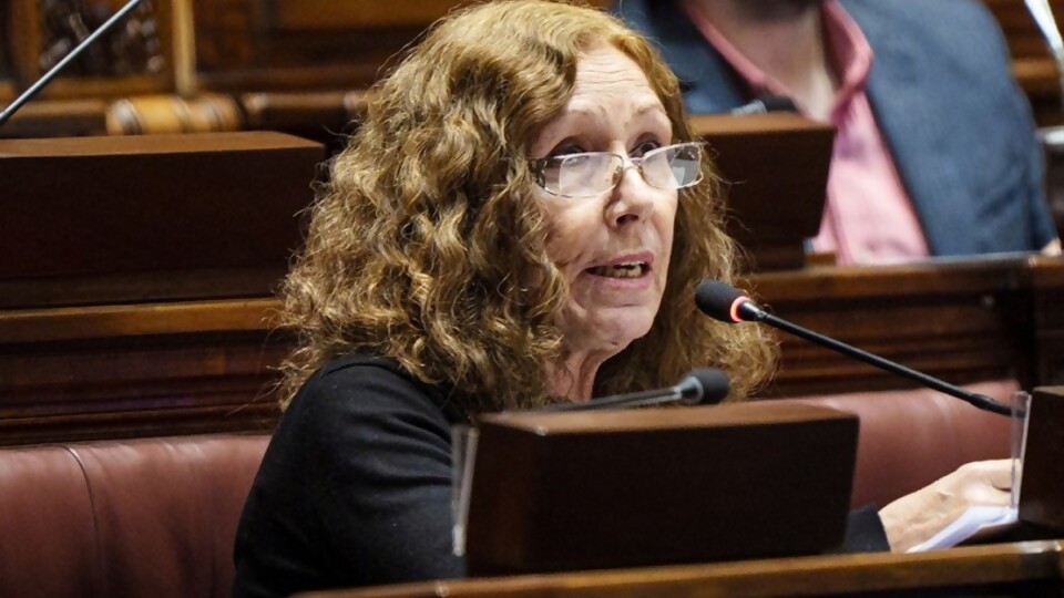 “La oposición hizo una maniobra irresponsable en Diputados, al votar 80 millones de pesos sin financiamiento” — Audios — Mapa del Día | Azul 101.9