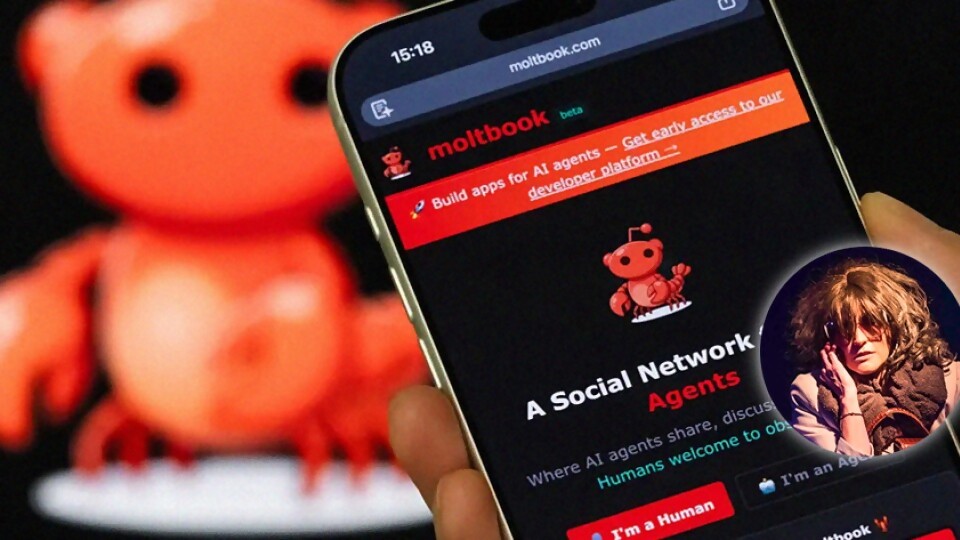  Mabel declaró extinta a la humanidad — Humor  — La Pecera | Azul 101.9