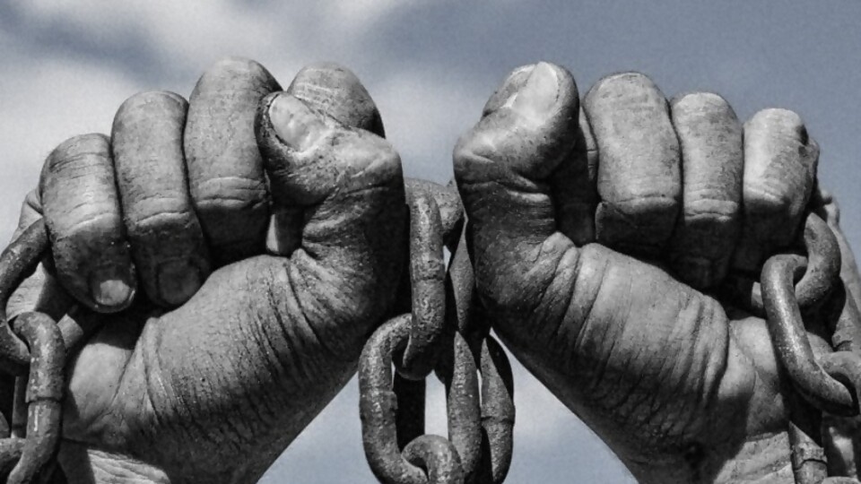 Relatos de Pecera: Historia de la esclavitud — Relatos de Pecera — La Pecera | Azul 101.9