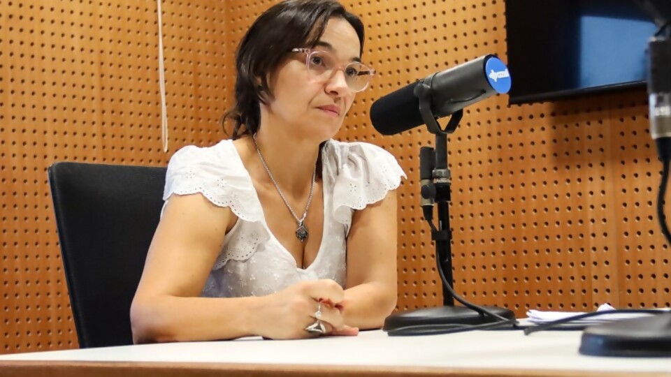 “Estamos mejor, pero vamos a esperar un par de meses para salir del estado de excepcionalidad” — Audios — Mapa del D&iacute;a | Azul 101.9