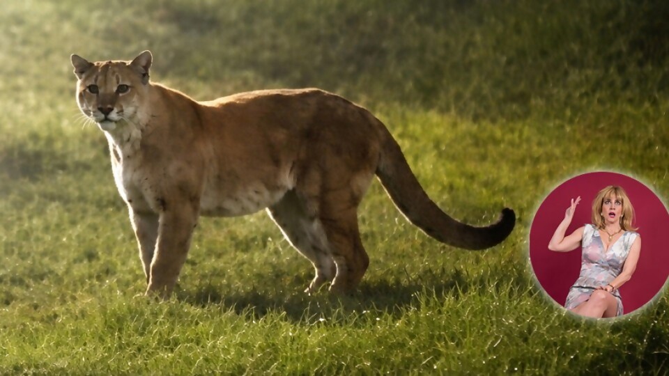 Mariana se atrincheró con Chanelita — Humor  — La Pecera | Azul 101.9