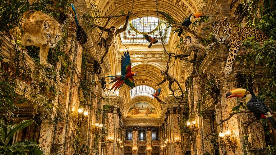 La Película: Animales políticos — Humor  — La Pecera | Azul 101.9