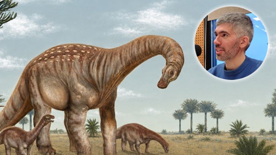 Mesetasaurus Protector  — Audios — Mapa del D&iacute;a | Azul 101.9