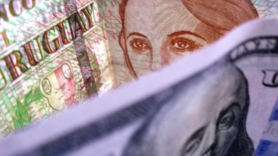 María Laura Rodríguez sobre la baja del dólar: Creemos que 