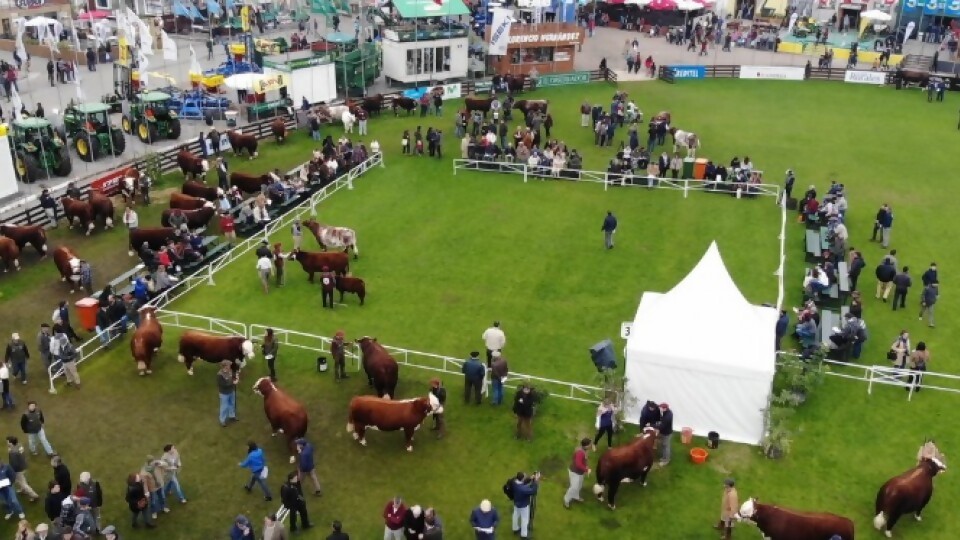 Ferber: “Más de 10.000 niños de escuelas ya están anotados para participar de la Expo Prado” — Entrevistas — Primera Ma&ntilde;ana | Azul 101.9
