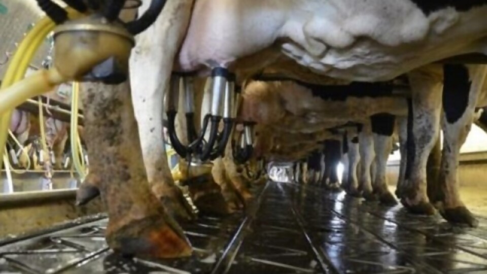 Londinsky: “La medida nos parece abusiva e irracional” — Entrevistas — Primera Ma&ntilde;ana | Azul 101.9