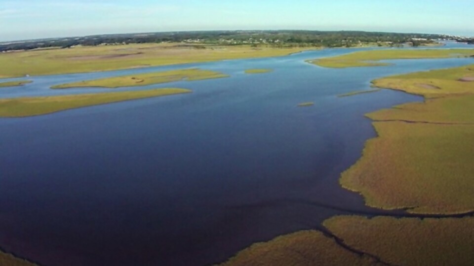 Zona franca en Maldonado genera rechazo del FA y grupos ambientalistas — Entrevistas — Primera Ma&ntilde;ana | Azul 101.9