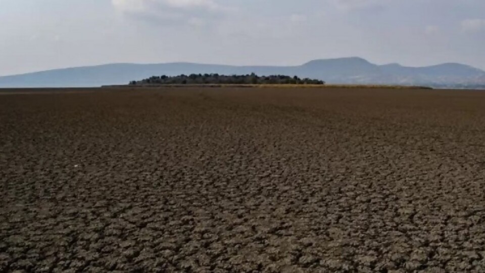 Pérez: “La recuperación del suelo será muy lenta, la sequía va a seguir hasta la mitad de marzo” — Entrevistas — Primera Ma&ntilde;ana | Azul 101.9