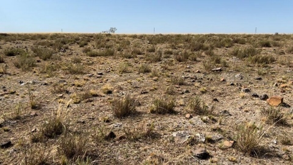  Pérez: “El déficit hídrico lleva tres años y es la sequía más extensa desde que se tienen registros” — Entrevistas — Primera Ma&ntilde;ana | Azul 101.9