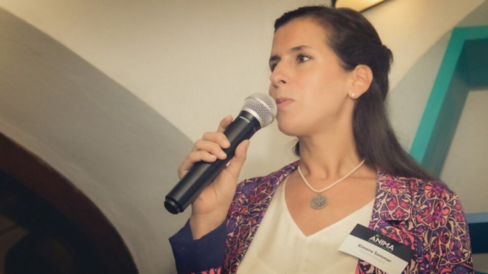  Sommer: “Estamos convencidos que la educación dual tiene lugar para seguir creciendo en nuestro país” — Entrevistas — Primera Ma&ntilde;ana | Azul 101.9