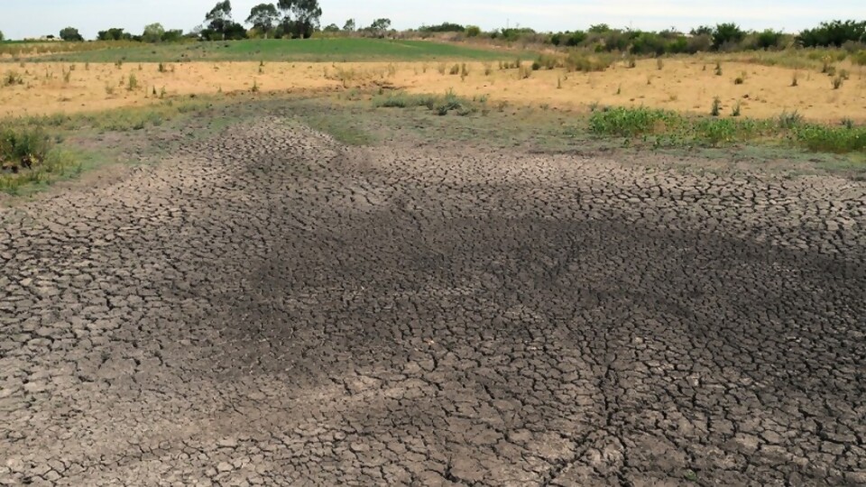 Bidegain: “Al sur de nuestro país la falta de lluvia comienza a sentirse” —  Entrevistas — Primera Mañana | Azul 101.9